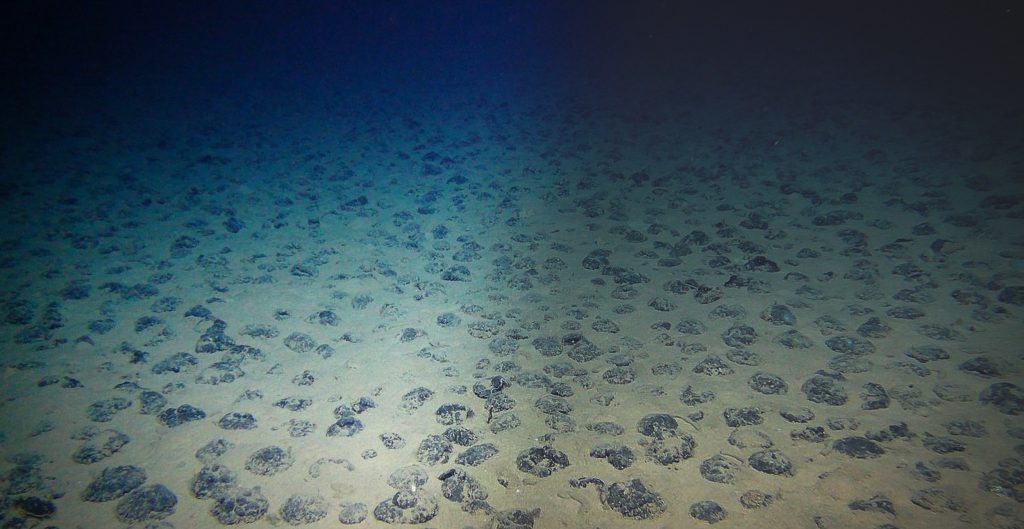 Polymetallic Nodules on Seafloor
